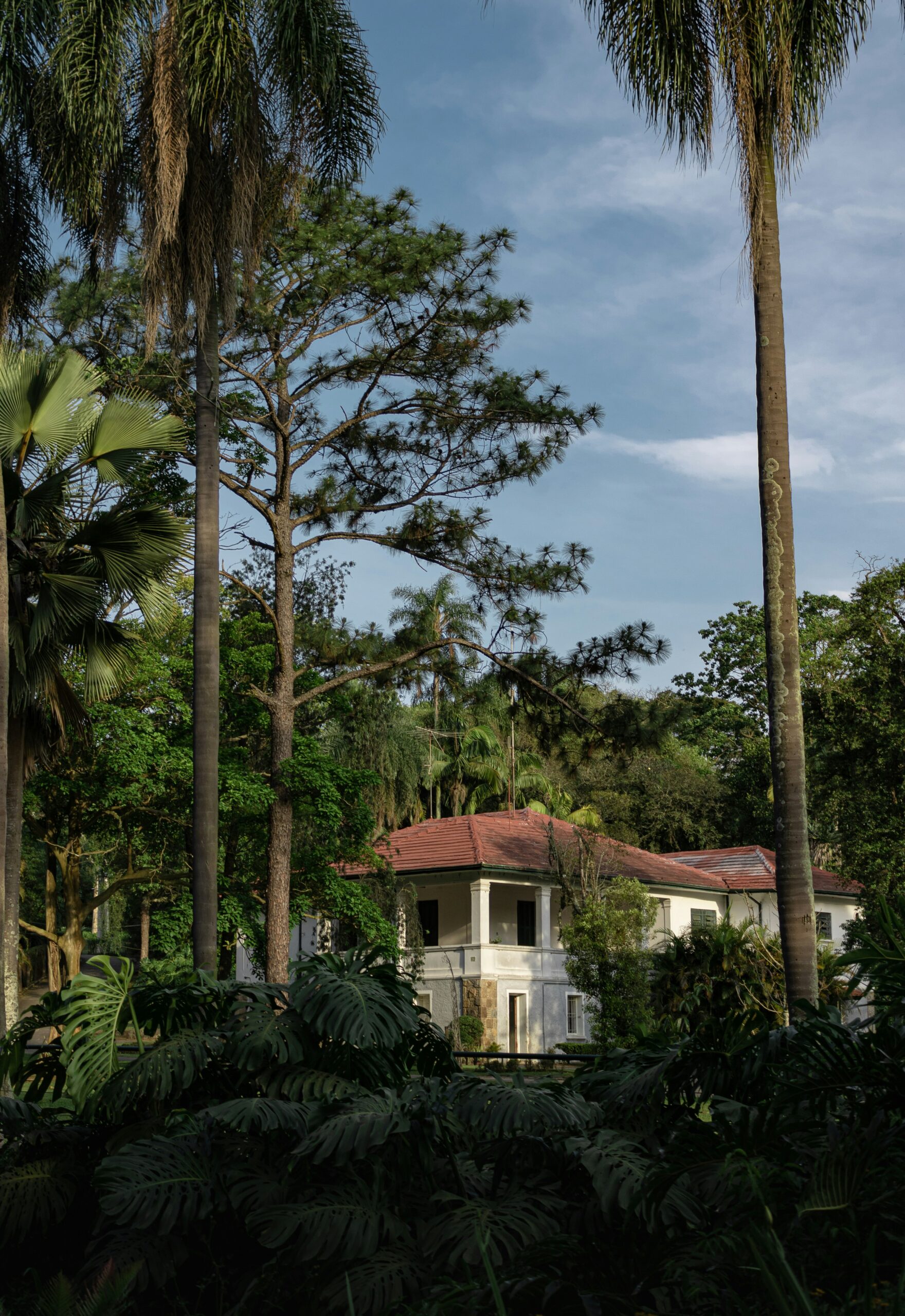 Florida House