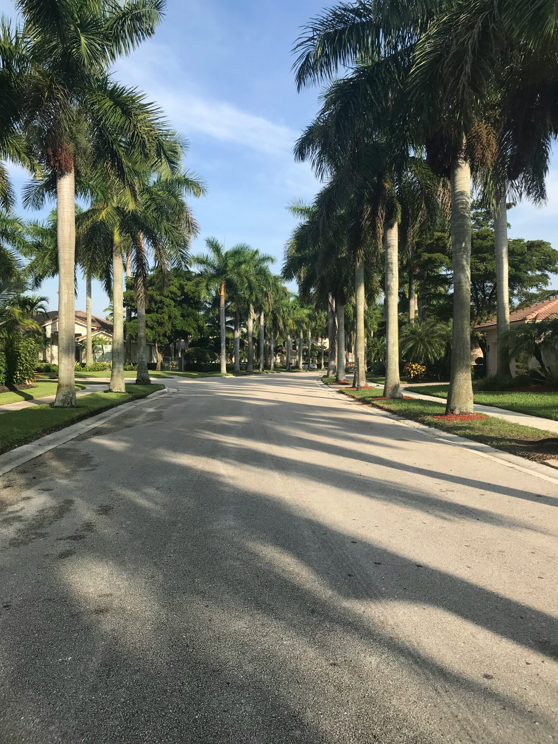 Florida Driveway