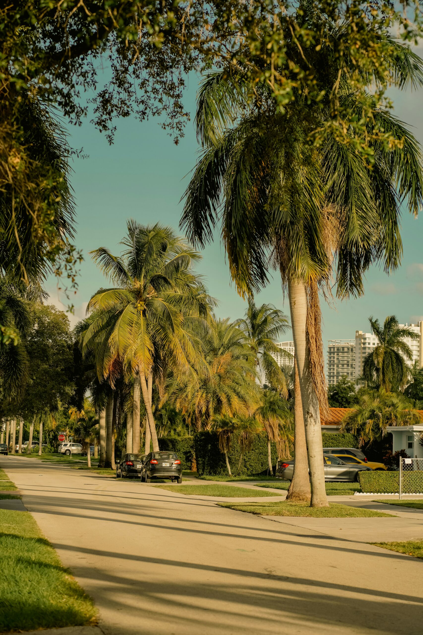 Florida House
