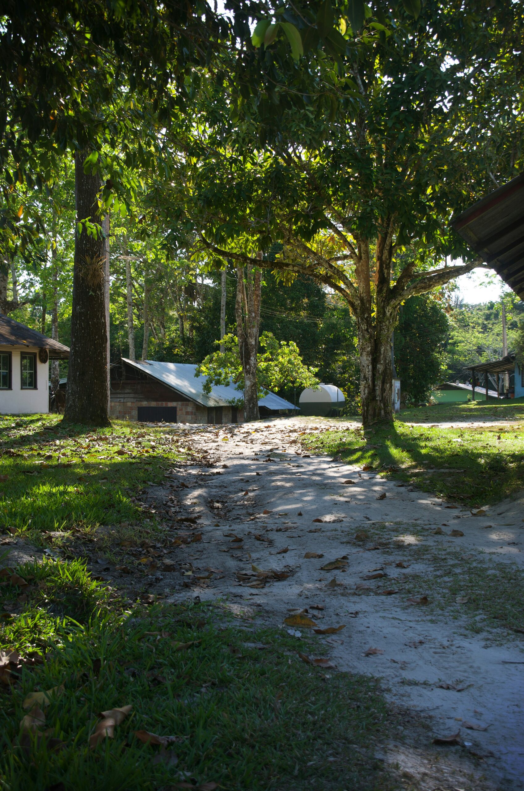 Florida House
